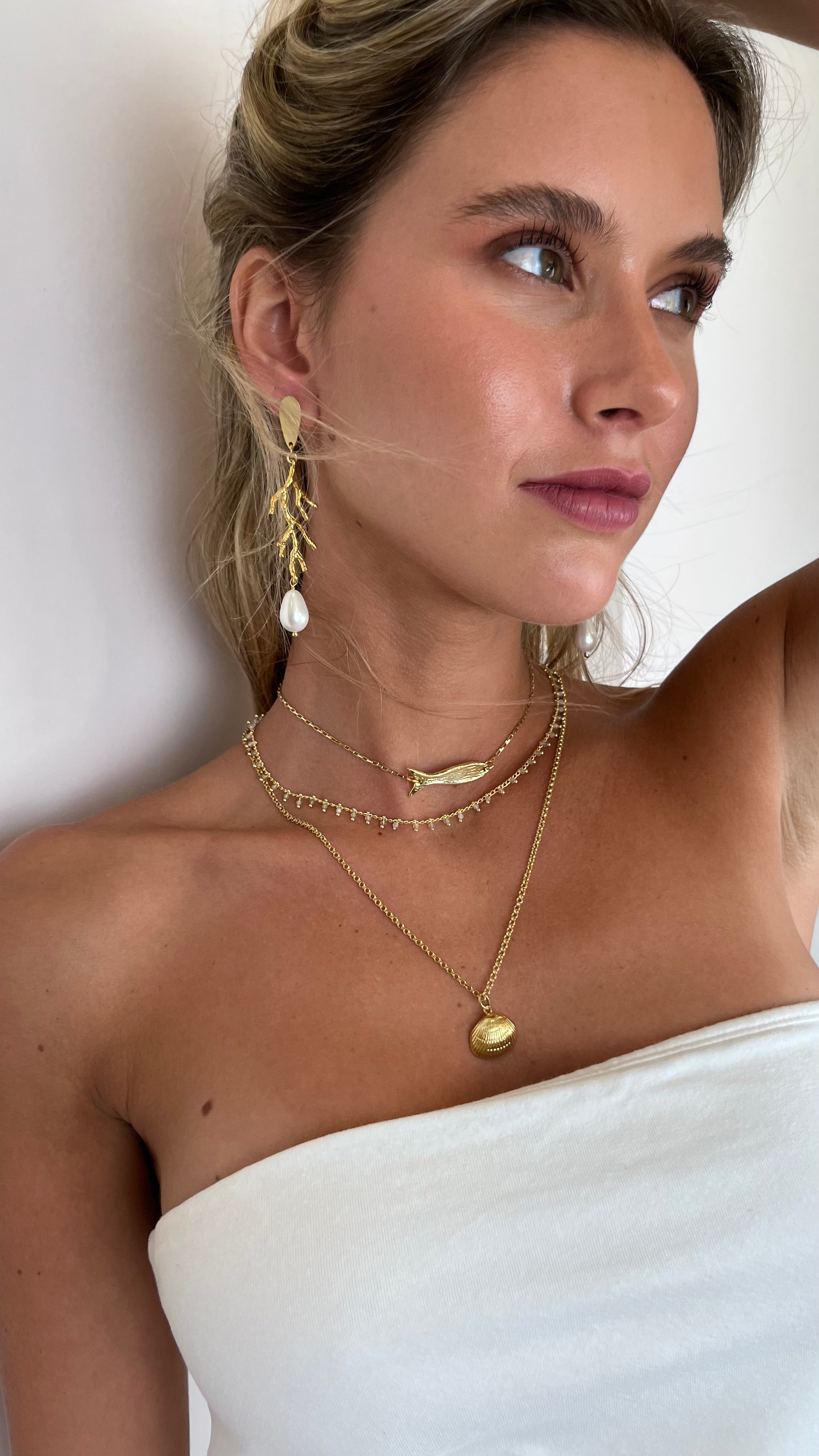 Aros Arrecife Coral