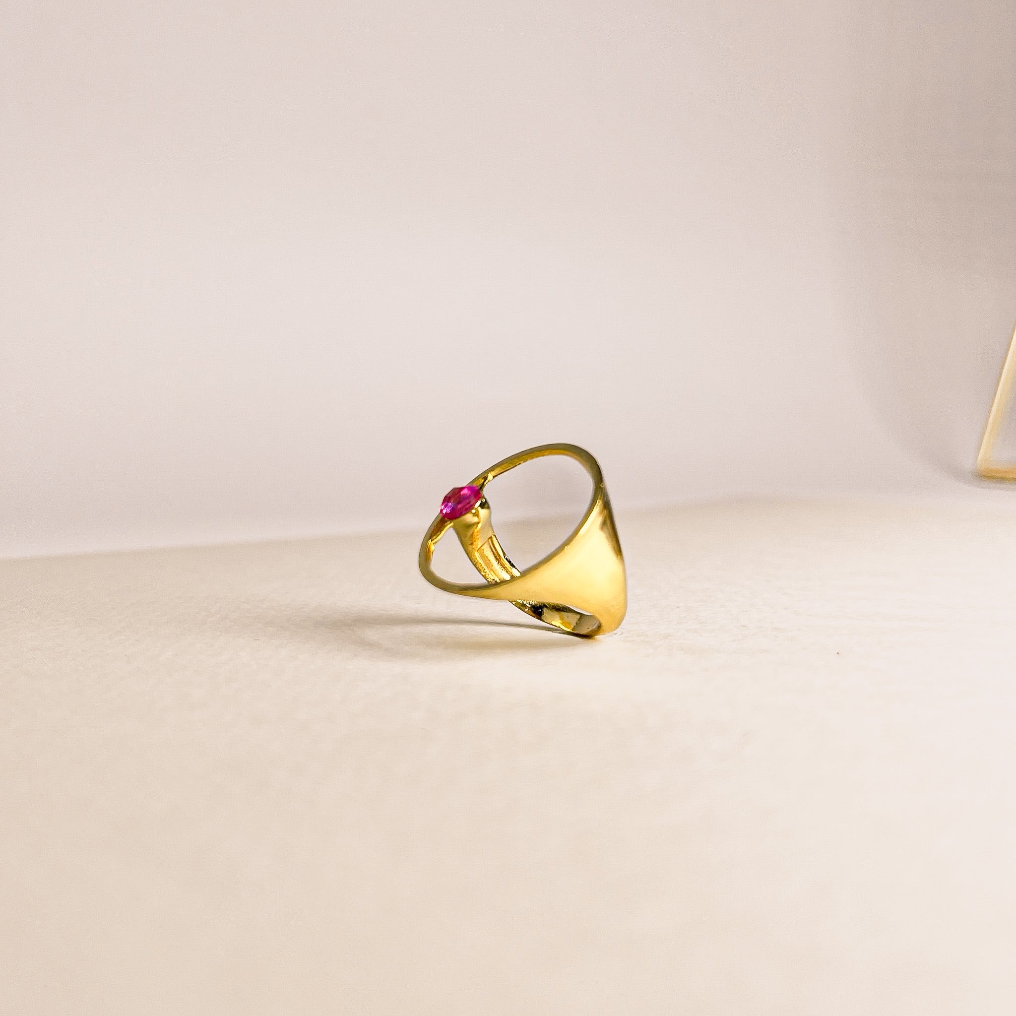 Anillo Circulo Rosa