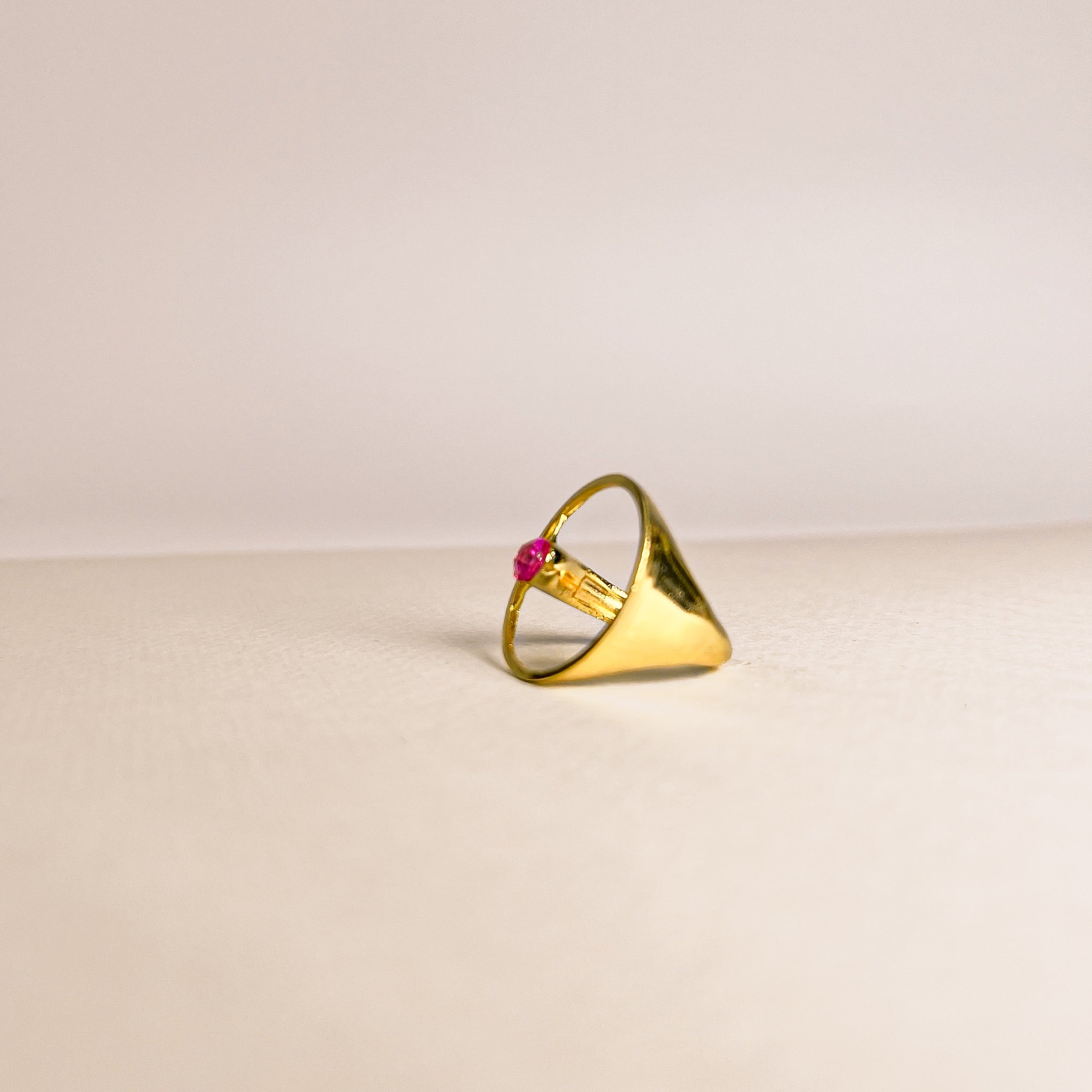 Anillo Circulo Rosa