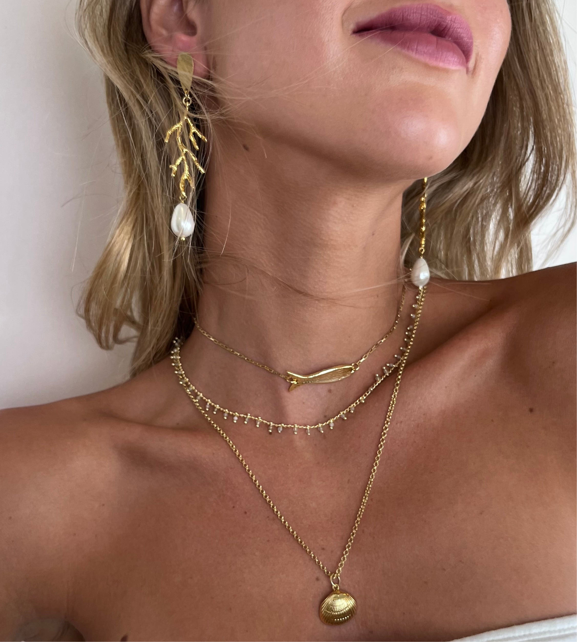 Aros Arrecife Coral
